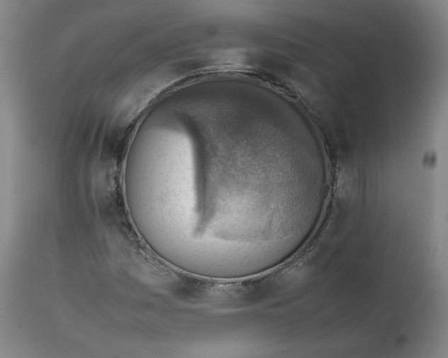 X0000111351161200907241152