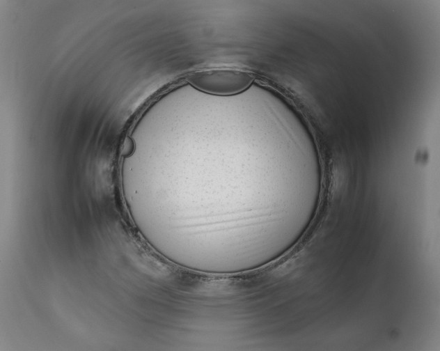 X0000111351162200907241152