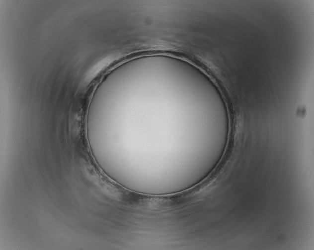 X0000111351163200907241152