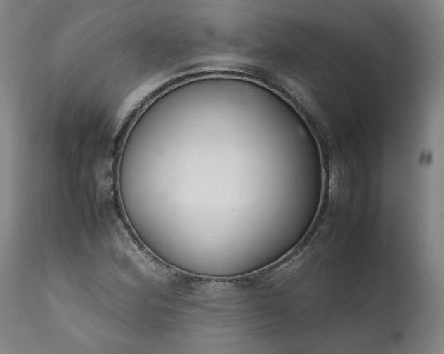 X0000111351164200907241152