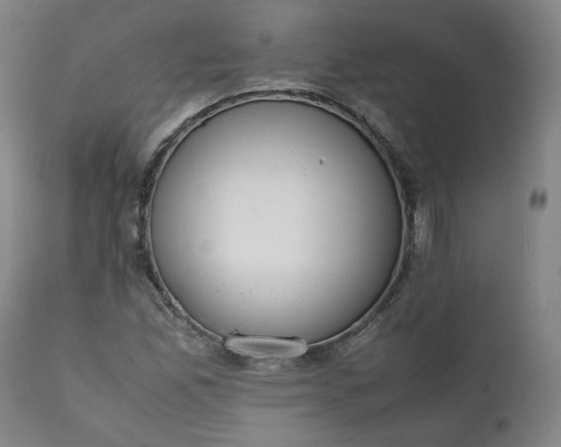 X0000111351165200907241152