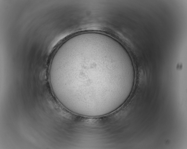 X0000111351166200907241152