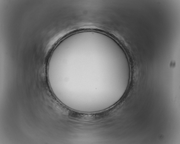 X0000111351167200907241152