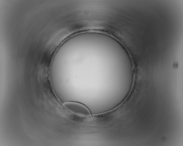 X0000111351169200907241152