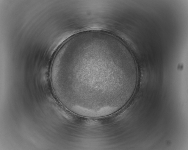 X0000111351170200907241152