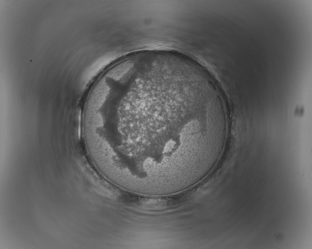 X0000111351171200907241152