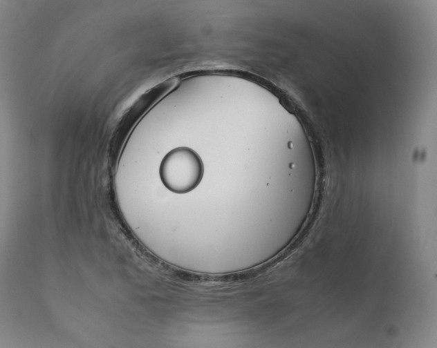 X0000111351173200907241152