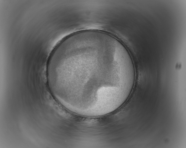 X0000111351174200907241151