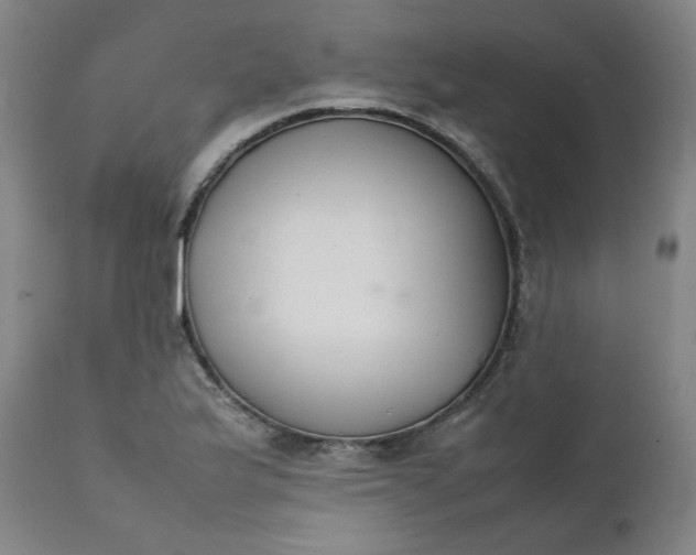 X0000111351175200907241151