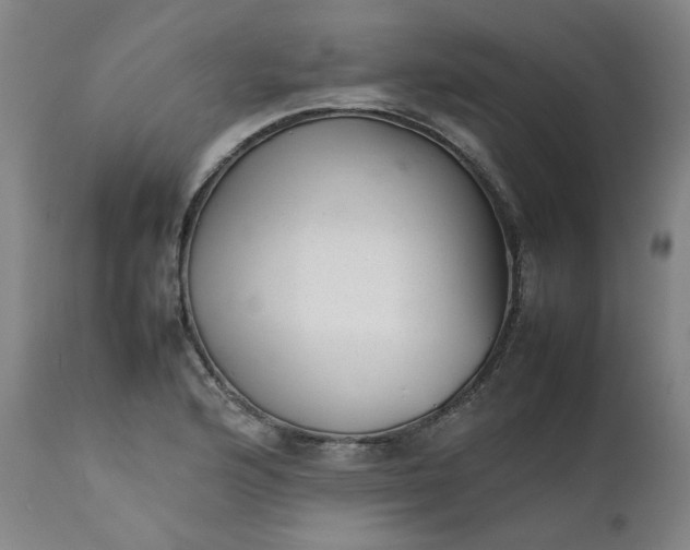 X0000111351176200907241151