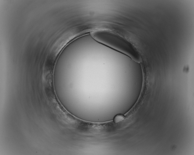 X0000111351177200907241151