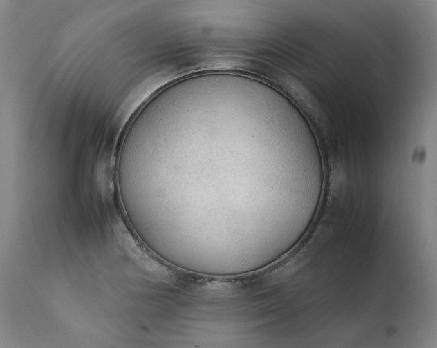 X0000111351178200907241151