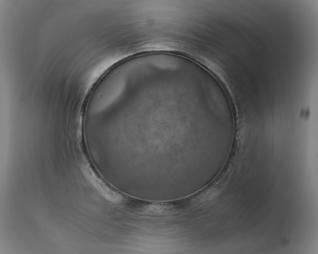 X0000111351179200907241151