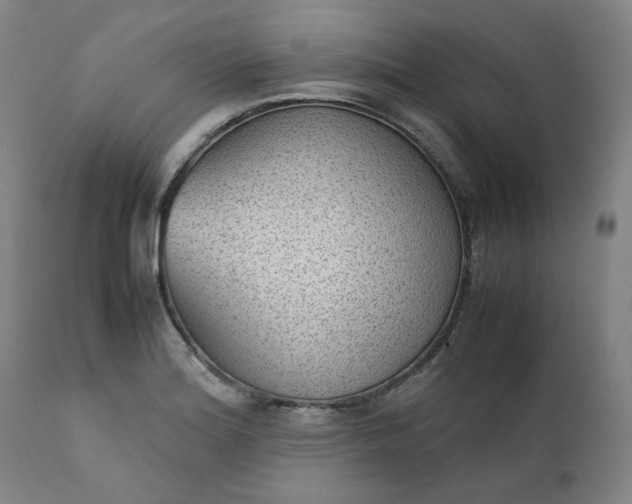 X0000111351180200907241151