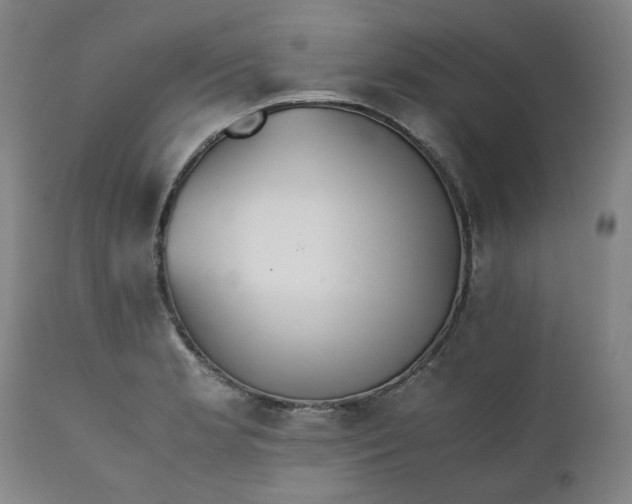 X0000111351181200907241151