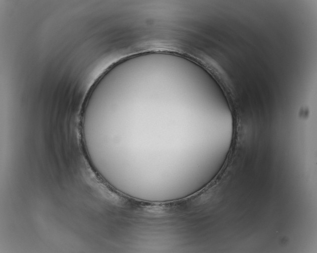 X0000111351182200907241151