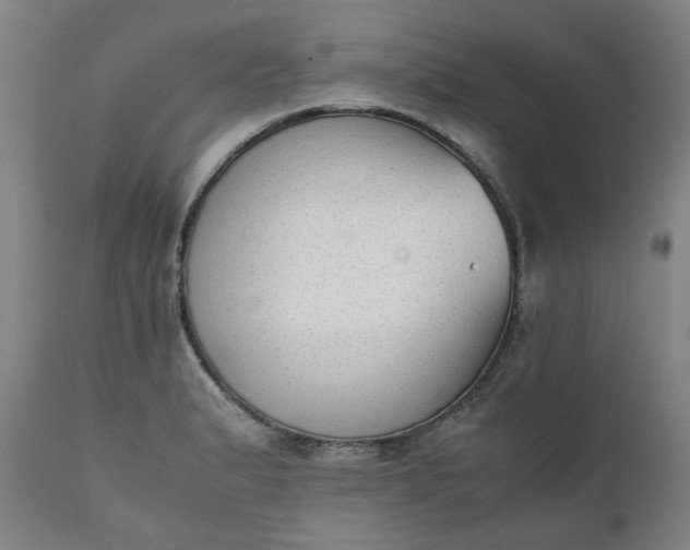 X0000111351183200907241151