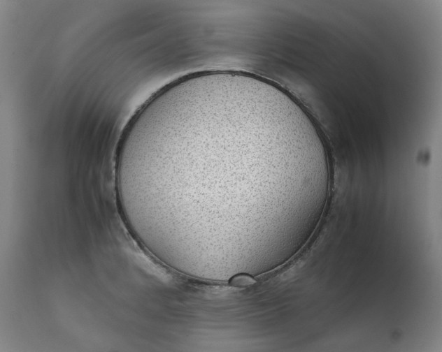 X0000111351184200907241151