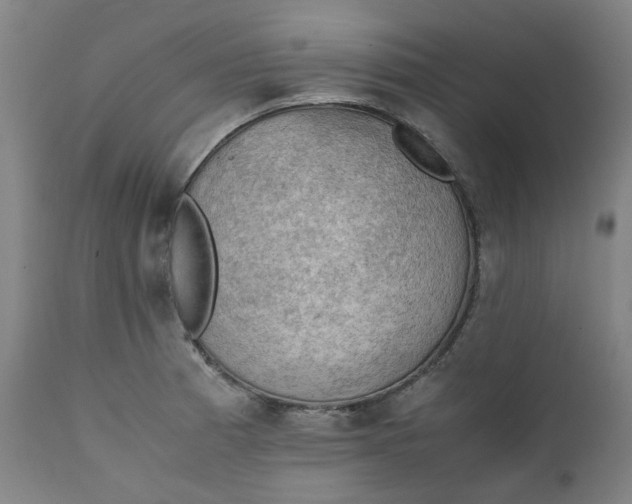 X0000111351185200907241151