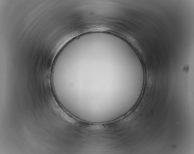 X0000111351186200907241151