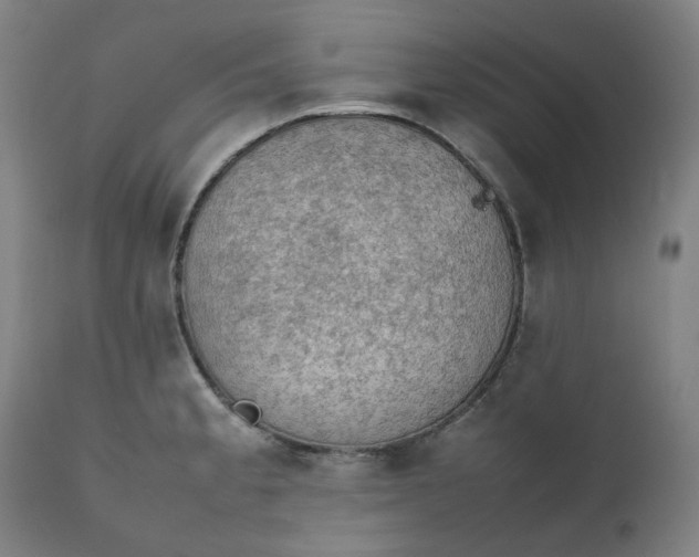 X0000111351189200907241151