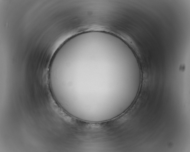 X0000111351190200907241151