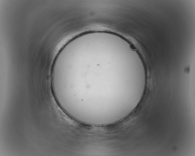 X0000111351191200907241151