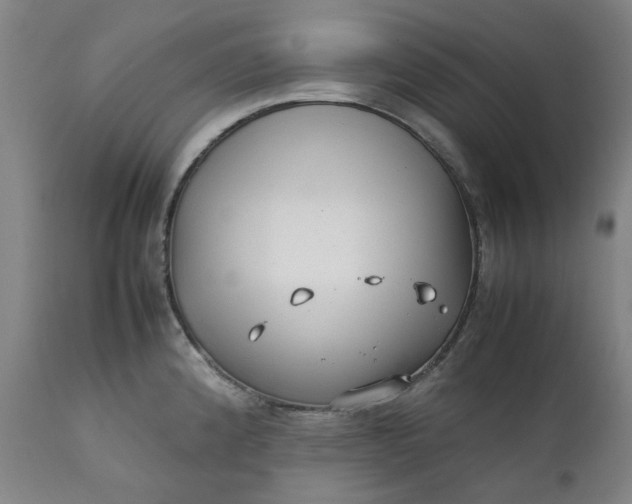 X0000111351192200907241151