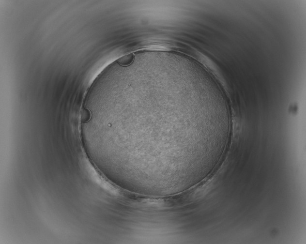 X0000111351194200907241151