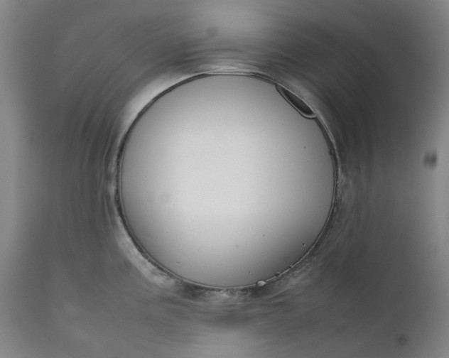 X0000111351195200907241151