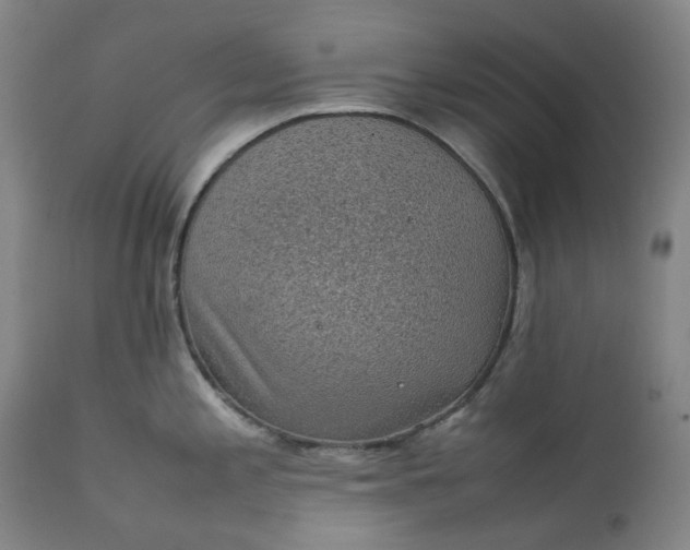 X0000111351197200907241151