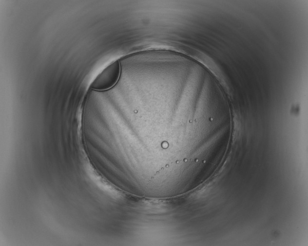 X0000111351198200907241151