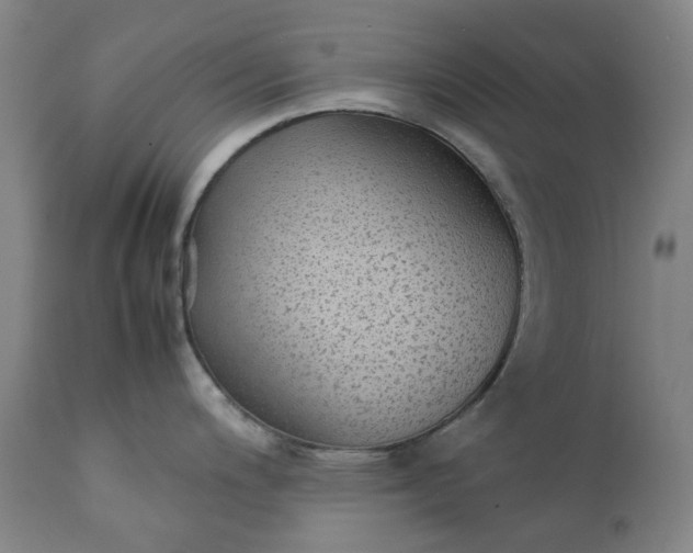 X0000111351200200907241151