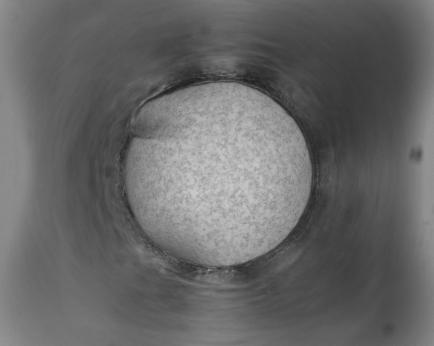 X0000111351201200907241150