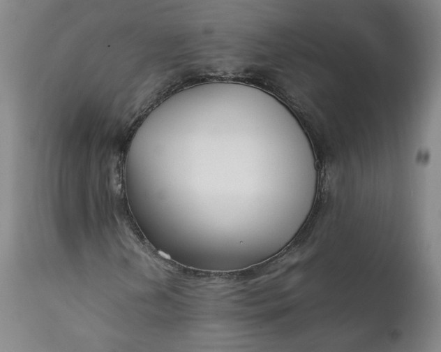 X0000111351202200907241150