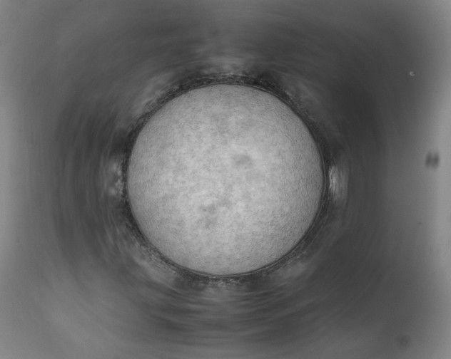 X0000111351203200907241150