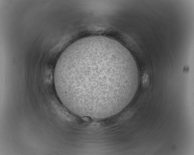 X0000111351204200907241150