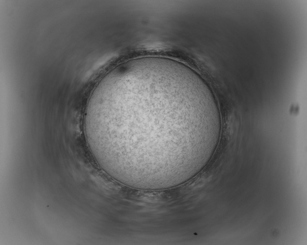 X0000111351205200907241150