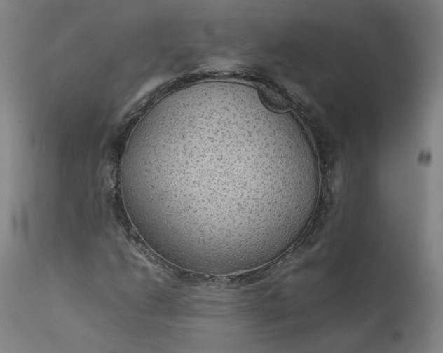 X0000111351206200907241150