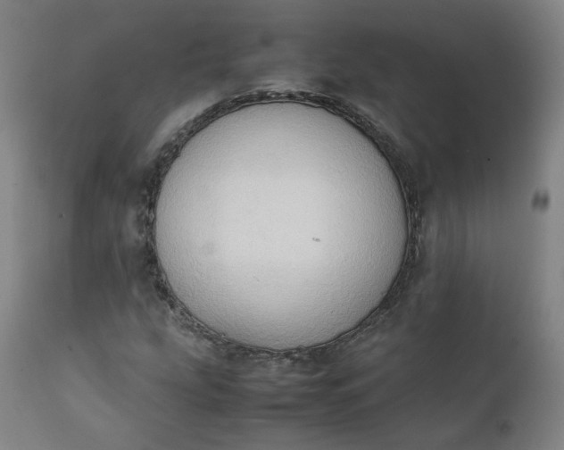 X0000111351207200907241150