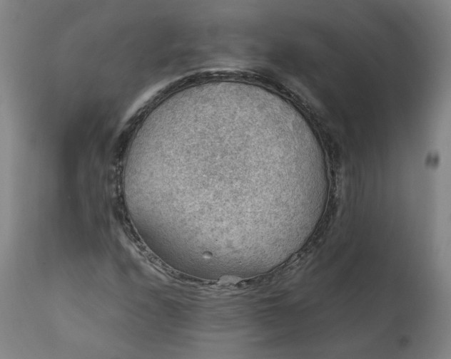 X0000111351208200907241150