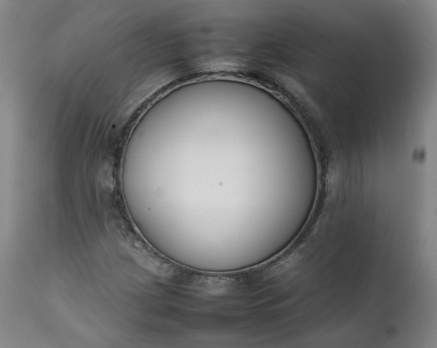 X0000111351209200907241150