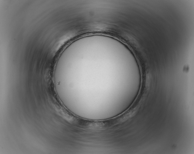 X0000111351210200907241150