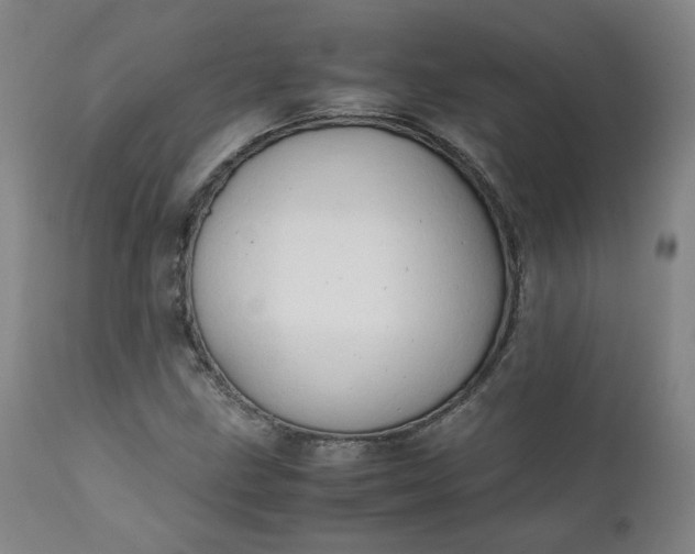 X0000111351211200907241150