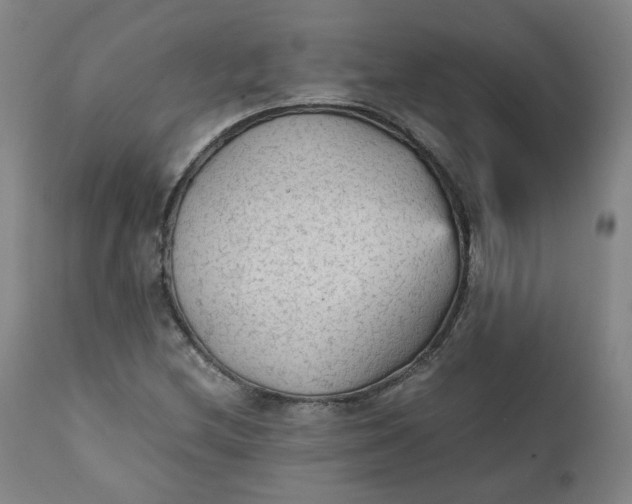 X0000111351212200907241150