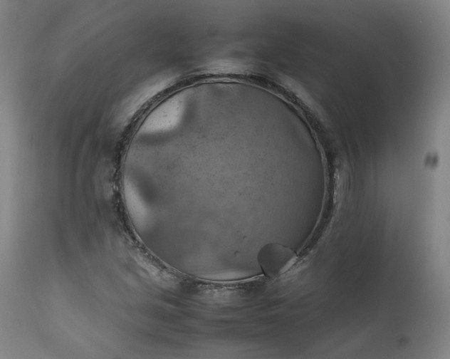 X0000111351213200907241150