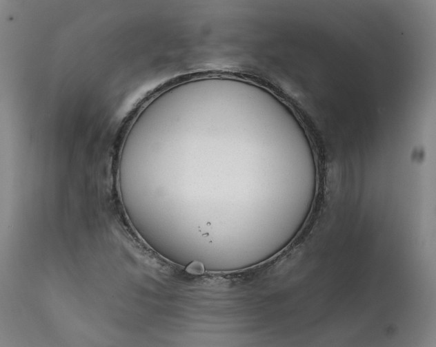 X0000111351214200907241150