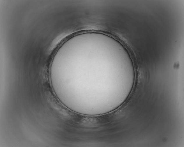 X0000111351215200907241150