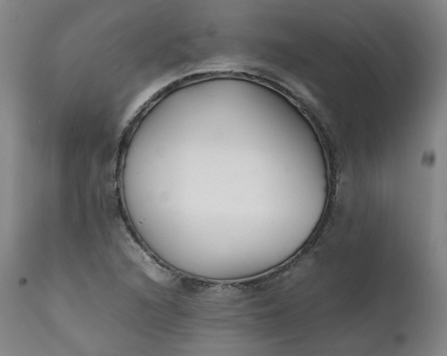 X0000111351216200907241150