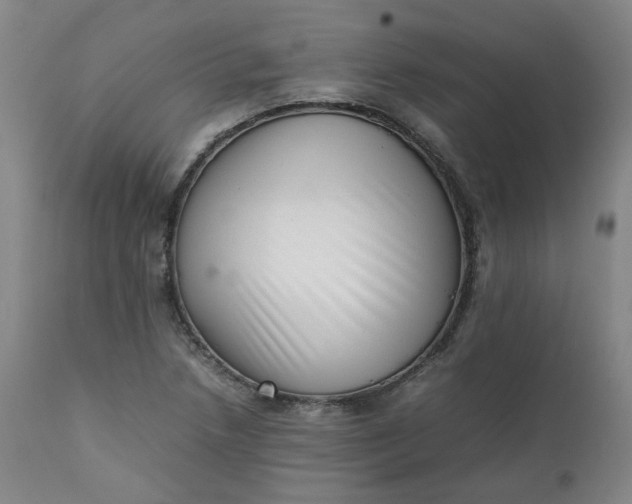 X0000111351218200907241151